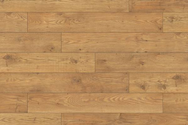 5537 Tawny Chestnut