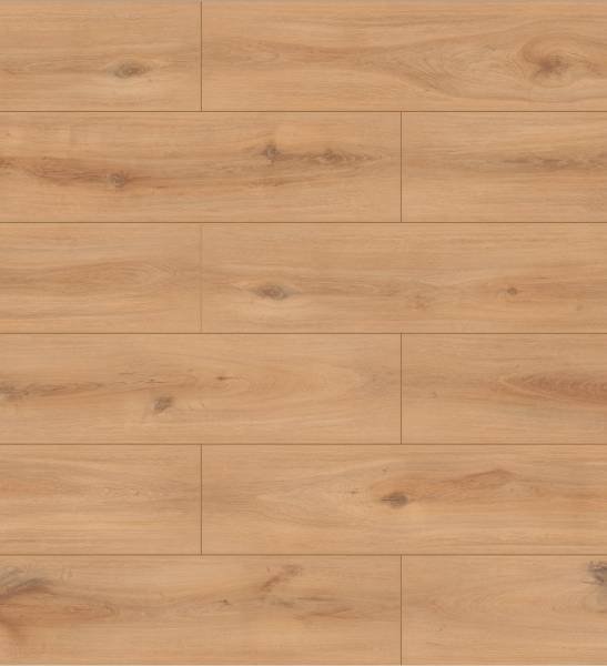 K230 Golden Vista Oak